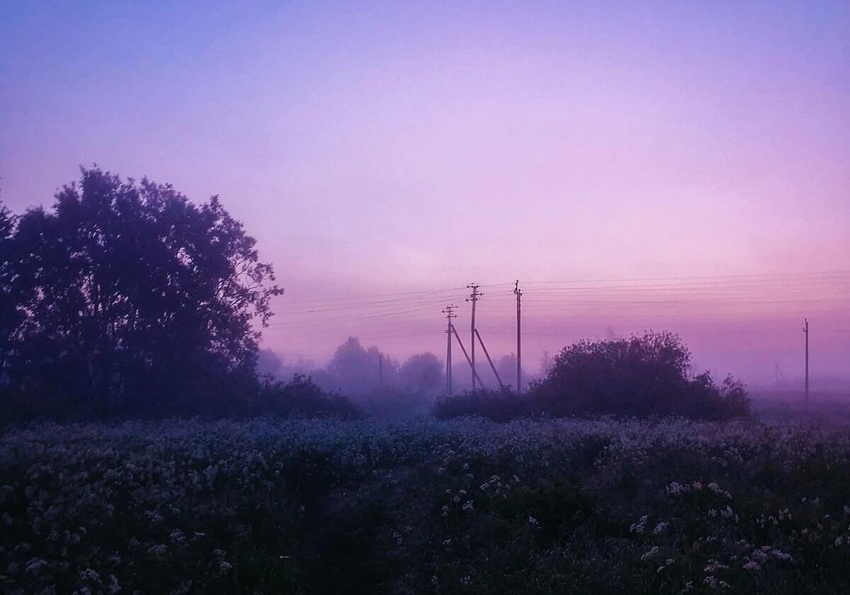 爆笑合集：杏吧网页端