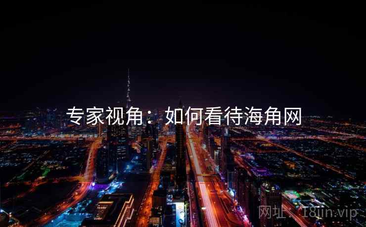 专家视角：如何看待海角网
