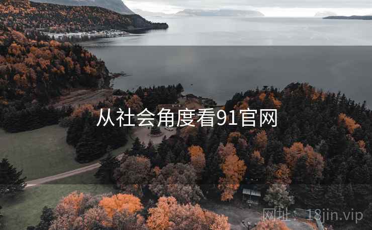 从社会角度看91官网