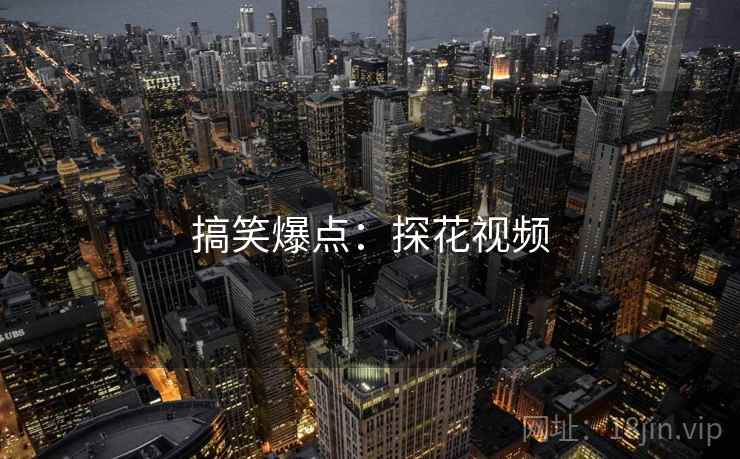 搞笑爆点：探花视频
