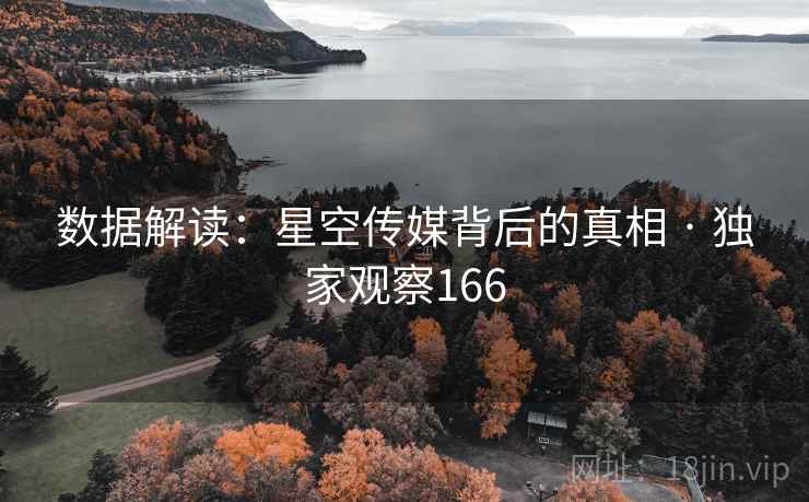 数据解读：星空传媒背后的真相 · 独家观察166