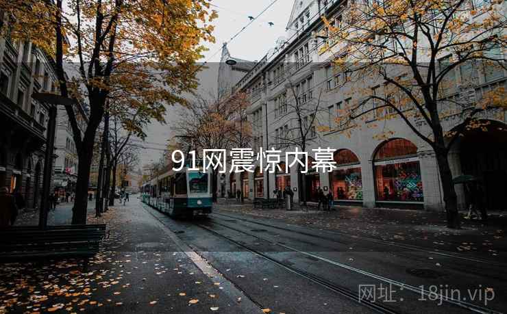 91网震惊内幕