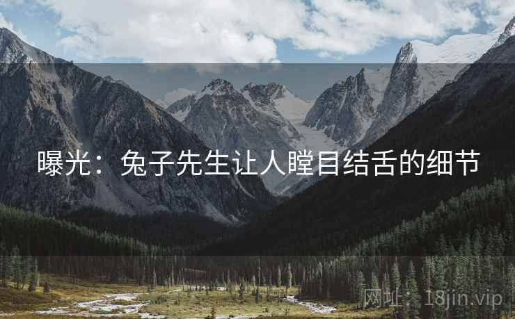 曝光：兔子先生让人瞠目结舌的细节