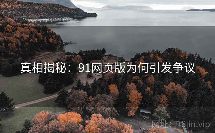 真相揭秘：91网页版为何引发争议