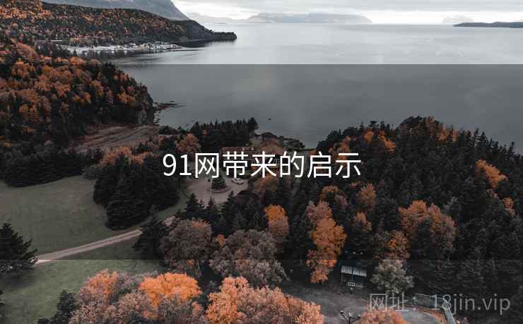 91网带来的启示
