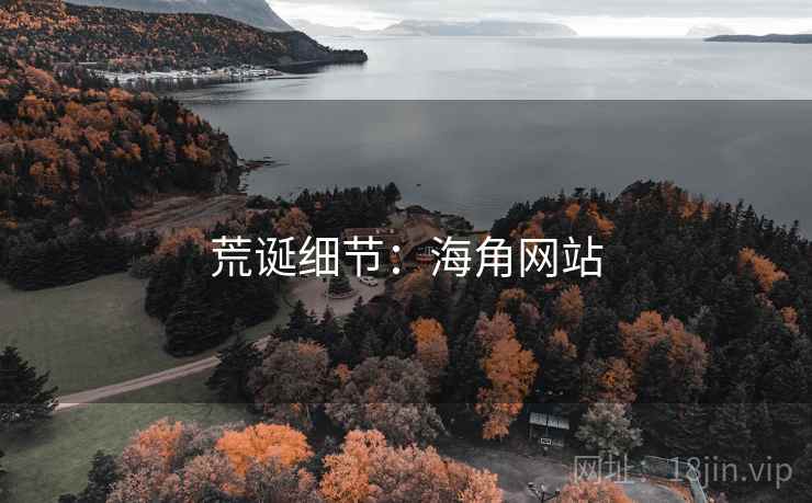 荒诞细节：海角网站