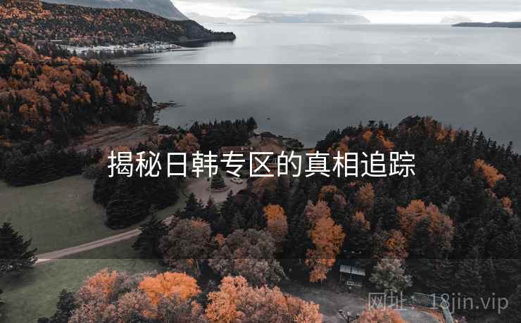 揭秘日韩专区的真相追踪