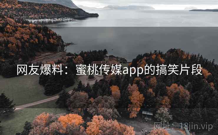 网友爆料：蜜桃传媒app的搞笑片段